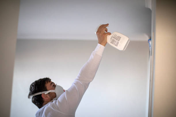 Certified Mold Removal in Hillsborough, NC